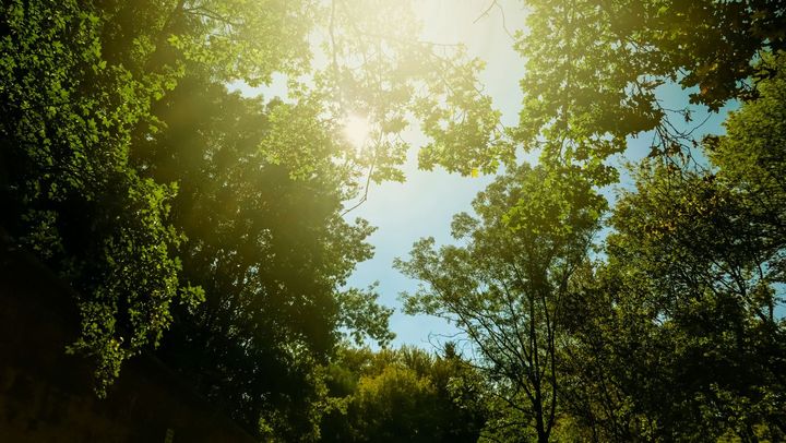 Canicula continuă în ţară, temperaturile ajung până la 35 de grade. Unde sunt anunţate ploi