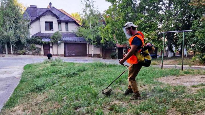 Pe terenurile publice din toate sectoarele capitalei au loc lucrări de nimicire a ambroziei