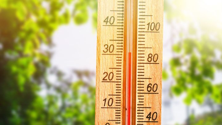 Vreme frumoasă şi temperaturi în creştere în toată ţara. Prognoza meteo pentru joi