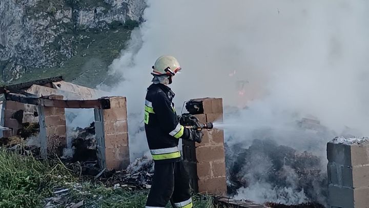 Incendiu violent la o stână din Briceni. Mai multe animale au fost fost salvate. Precizările IGSU