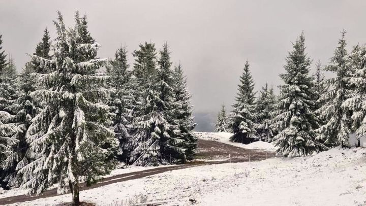 A venit iarna la munte. Ninge la Bâlea Lac, în Poiana Brașov și nordul Carpaților Orientali