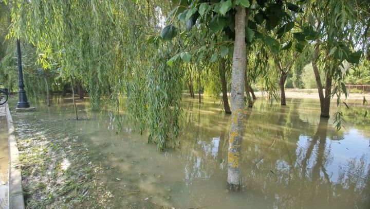 Ploile torențiale au lăsat prăpăd în Parcul „Valea Morilor”. Municipalitatea continuă să înlăture pagubele