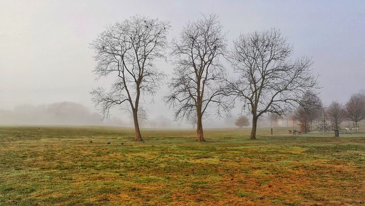 Meteo azi, 14 noiembrie: Vreme închisă, dar fără precipitaţii semnificative. Ce temperaturi vor fi