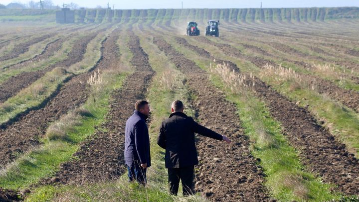 Astăzi începe campania de împădurire de primăvară. Vor fi plantați peste opt milioane de puieți