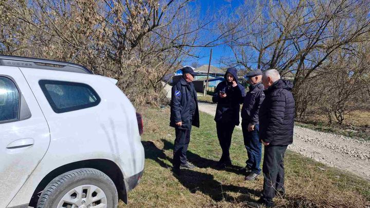 Trei persoane din Edineț sunt cercetate pentru furt de lemne. Ce amenzi riscă