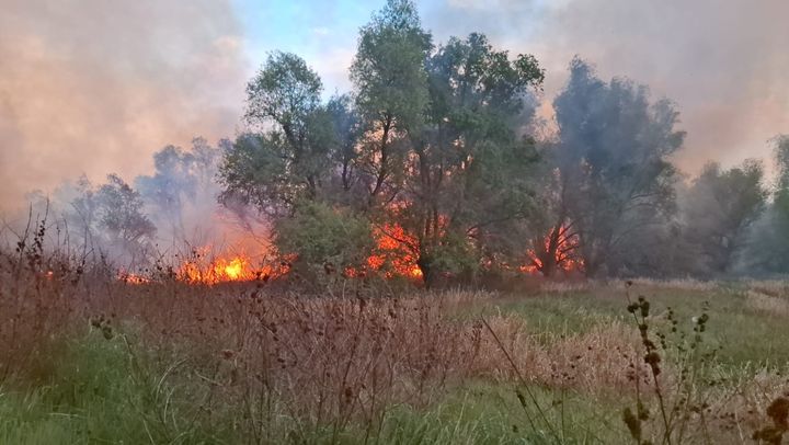 Incendiu de vegetație la Văleni: 30 de hectare de stufăriș și 3,5 km de fire electrice, afectate de flăcări