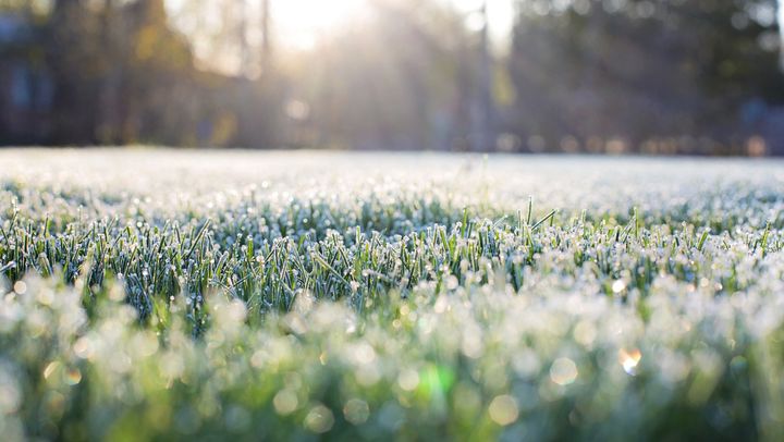 Cod galben de înghețuri în nordul și unele raioane din centrul țării. Sunt prognozate până la -2°C