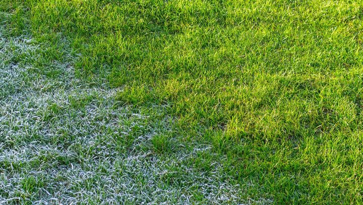 Înghețuri în luna mai. În nordul și unele raioane din centrul țării sunt prognozate minime de până la -2°C