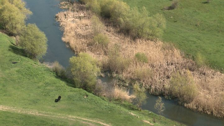 Cel mai mare afluent al râului Nistru - înnămolit și invadat de  vegetație. Autoritățile locale solicită ajutor