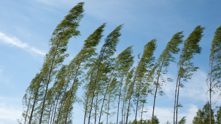 Meteorologii au emis cod galben de intensificări ale vântului. Avertizarea, valabilă pe întreg teritoriul țării