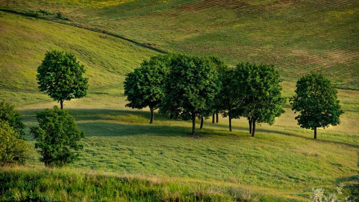 Cer senin și maxime de +30 de grade Celsius. Prognoza meteo pentru ziua de 23 iunie