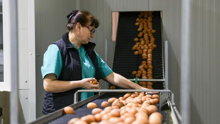 De la începutul anului, peste 10.000 de cetățeni au fost ajutați de ANOFM să-și găsească un loc de muncă
