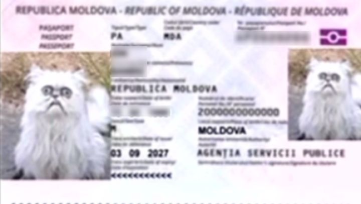 Detalii despre perchezițiile privind coruperea electorală:  Două persoane cercetate, noi probe și aplicația TAITO