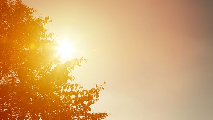 Meteorologii au emis cod galben de caniculă în sudul și unele raioane din centrul țării