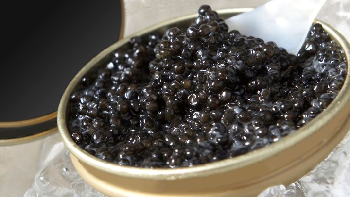 VIDEO/ În premieră, un producător din R. Moldova a obținut dreptul de a exporta caviar în UE