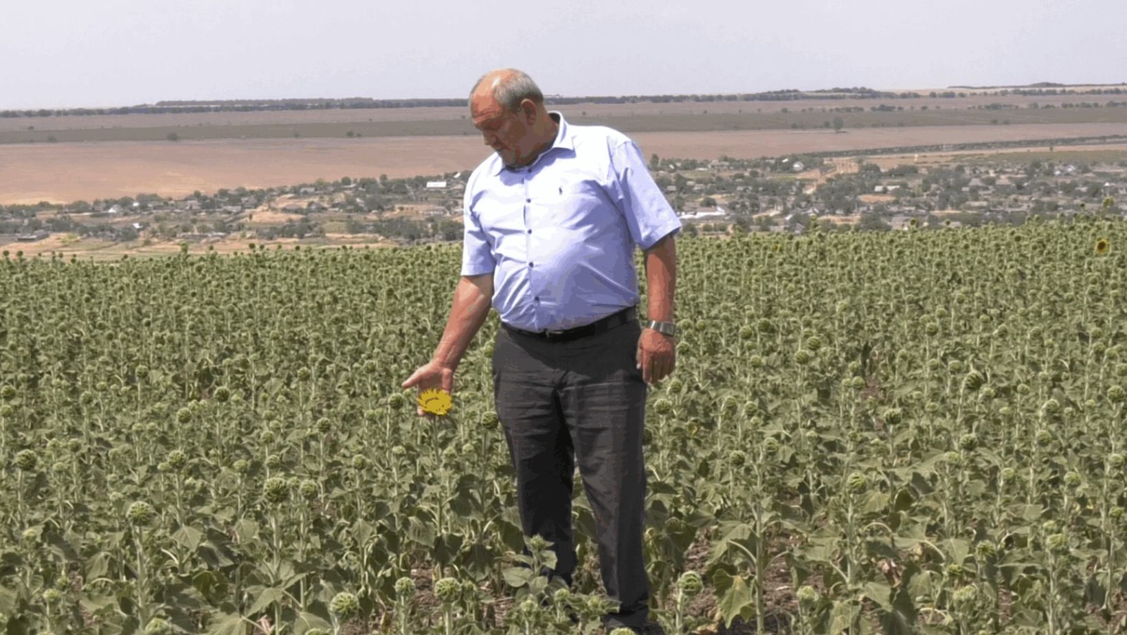 Consiliul Raional Ștefan Vodă a solicitat declararea stării de urgență în agricultură. Precizările MAIA