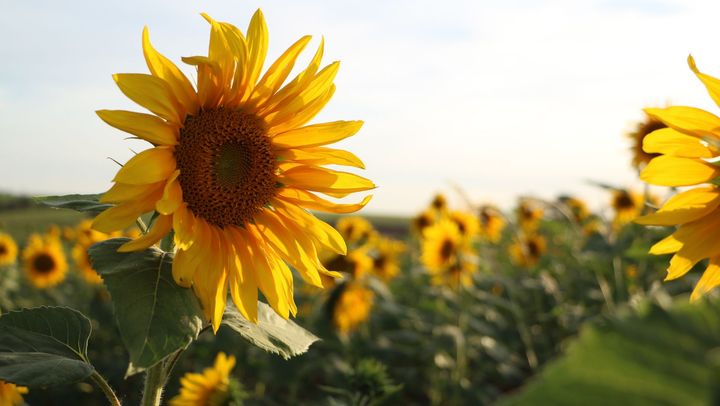 Cer variabil și maxime de până la 32°C. Prognoza meteo pentru ziua de 20 iulie